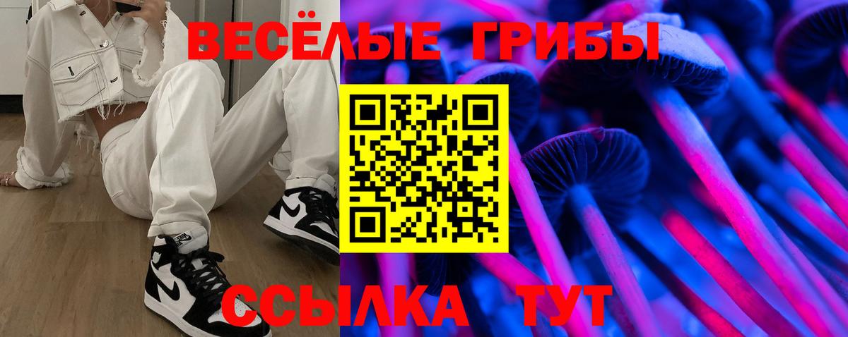 Галлюциногенные грибы Cubensis Калуга